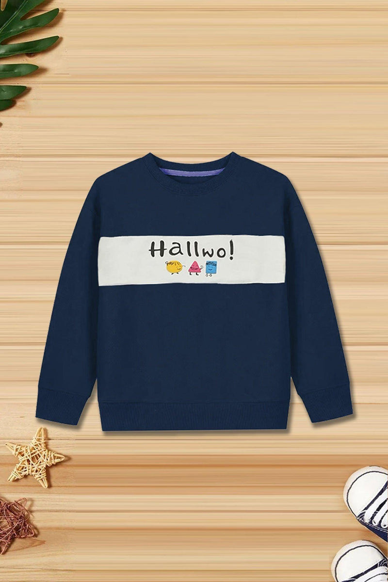 Boys Zinc Hallwo Sweatshirt