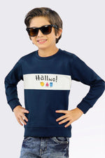Boys Zinc Hallwo Sweatshirt