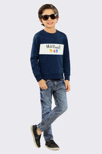 Boys Zinc Hallwo Sweatshirt