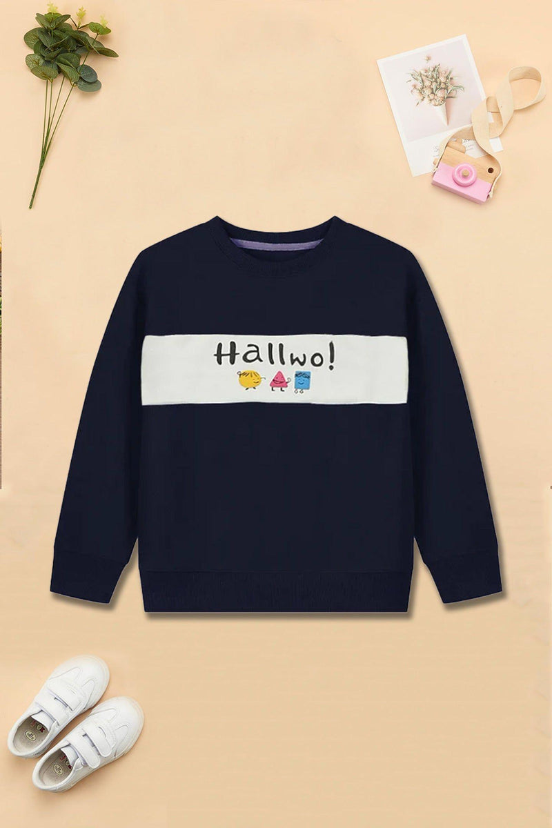 Boys Navy Hallwo Sweatshirt